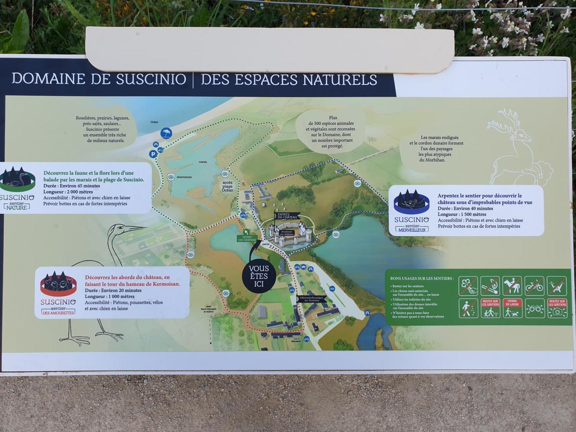 Maison De Vacances A Sarzeau A 5 Min De La Plage A Pieds Eksteriør billede